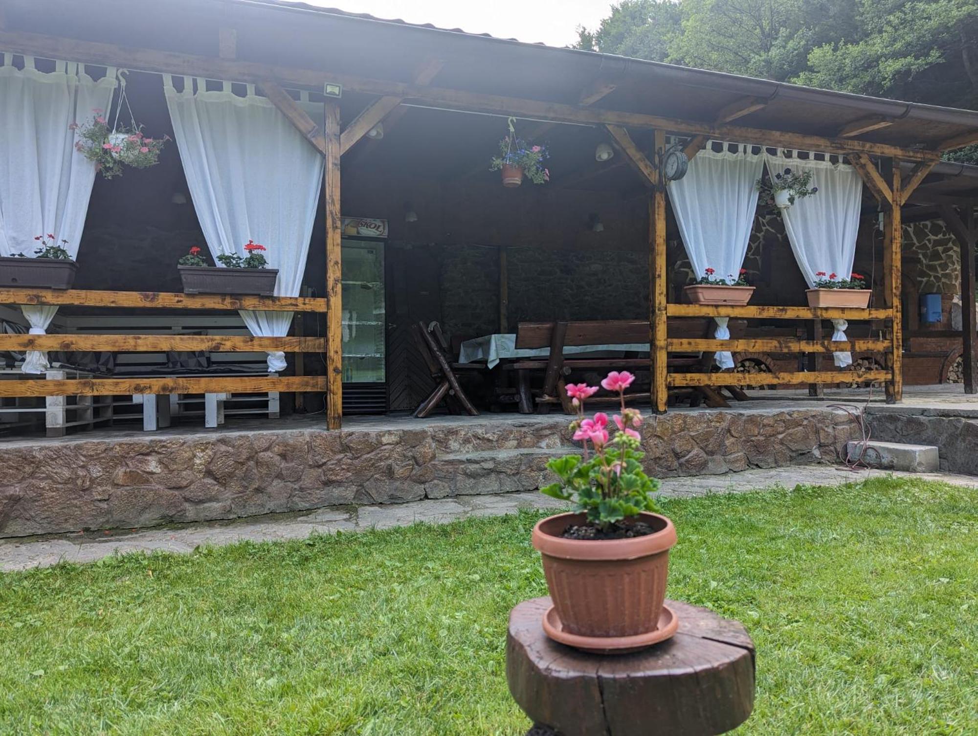 Casa Alex Villa Valiug Exterior photo
